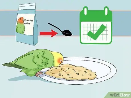 Накормите неразлучников, шаг 7