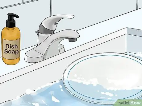 Покормить лори или лорикета Шаг 8