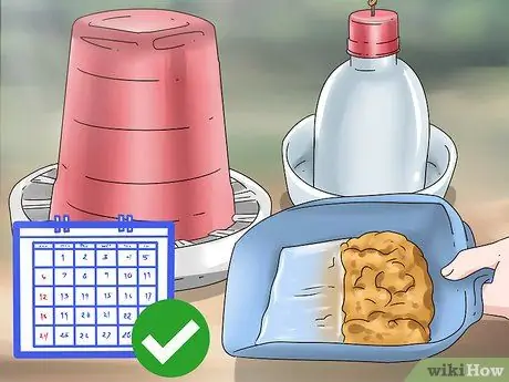 Покормить диких уток-детенышей Шаг 10