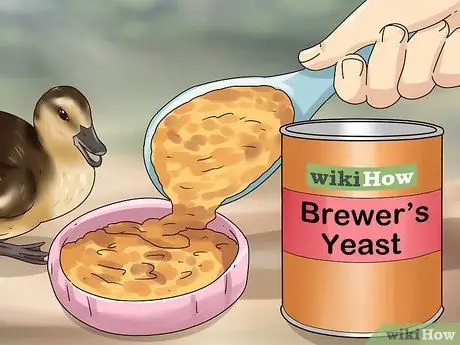 Покормить диких уток, шаг 4