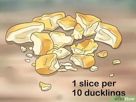 Покормить диких уток, шаг 5