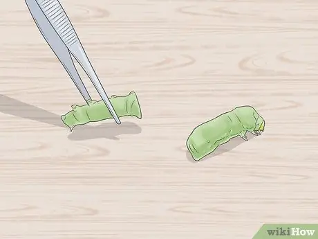 Покорми Воробья Шаг 13