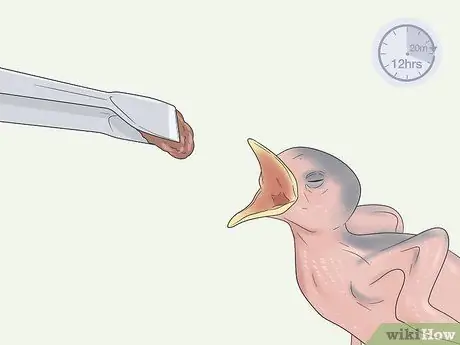 Покормите Воробенка Шаг 6