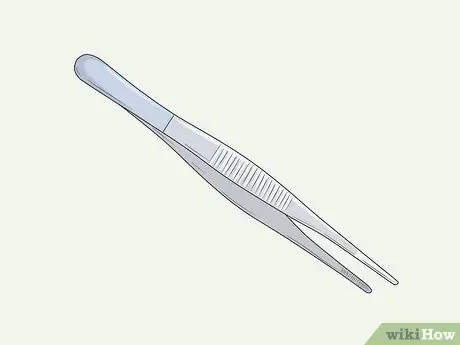 Покормить воробья Шаг 7