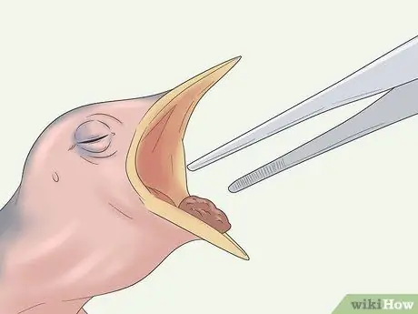 Покормить Воробья Шаг 8