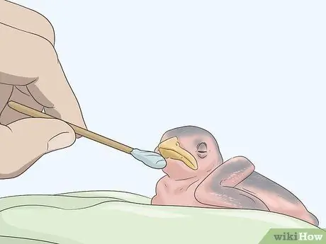 Покормить воробья Шаг 9