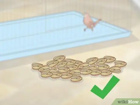 Покормить зябликов, шаг 1