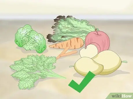 Покормить зябликов, шаг 3