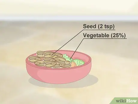 Кормить зябликов, шаг 6