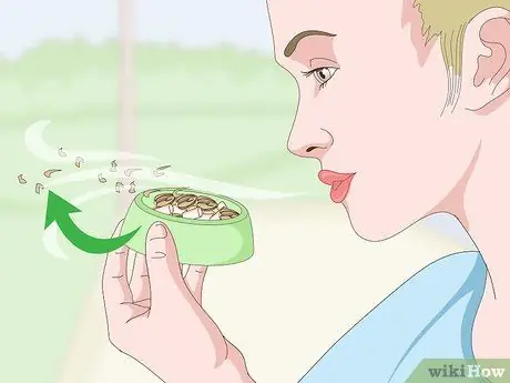 Покормить зябликов, шаг 7