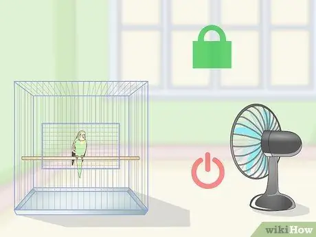 Приучите попугая к шагу вперед, шаг 1