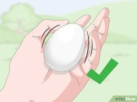 Как определить живые или мертвые утиные яйца Шаг 14