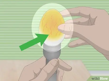 Как определить живые или мертвые утиные яйца Шаг 4