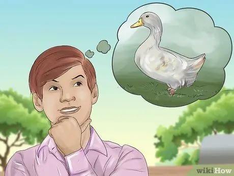 Приручить уток шаг 10