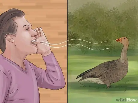 Приручить уток шаг 11