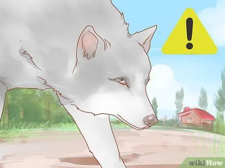 Позаботьтесь об утятах Шаг 15