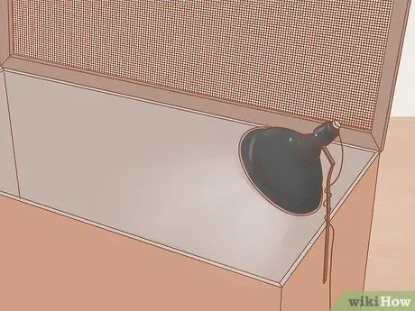 Позаботьтесь об утятах Шаг 2