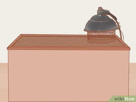 Позаботьтесь об утятах Шаг 3