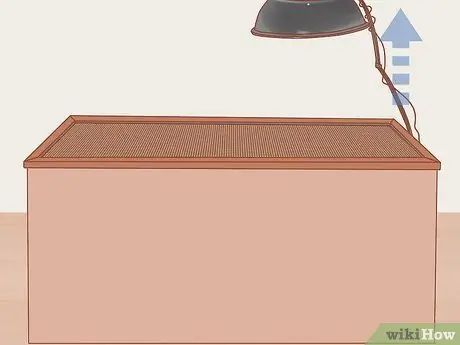 Позаботьтесь об утятах Шаг 4