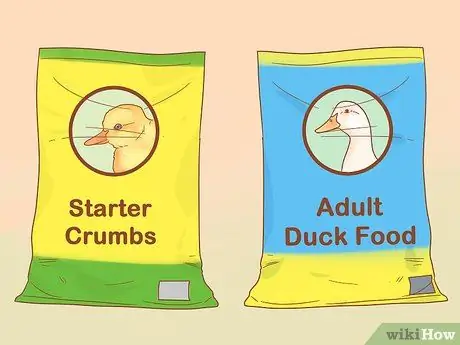 Позаботьтесь об утятах Шаг 9