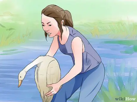 Лечить ботулизм у утки Шаг 2