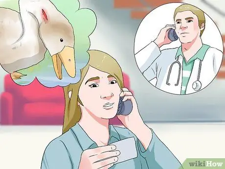 Вылечить ботулизм у утки Шаг 5