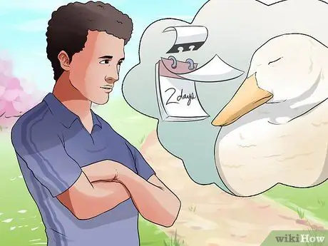 Лечить ботулизм у утки Шаг 6