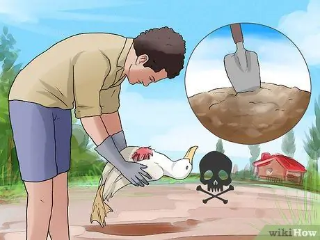 Лечить ботулизм у утки Шаг 9