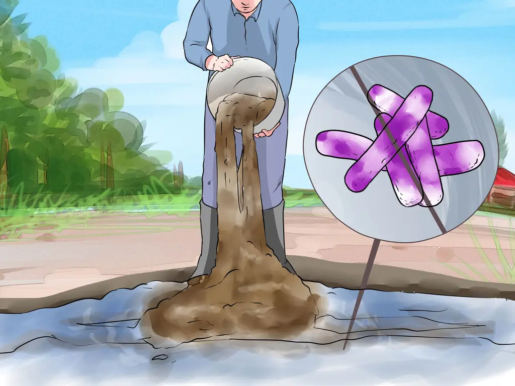 Как вылечить ботулизм у утки: 11 шагов (с иллюстрациями)