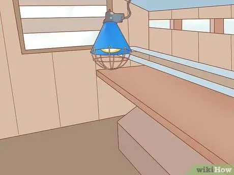 Уход за утками в зимнее время Шаг 2