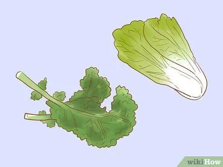 Уход за утками в зимнее время Шаг 6