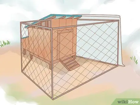 Уход за утками в зимнее время Шаг 9