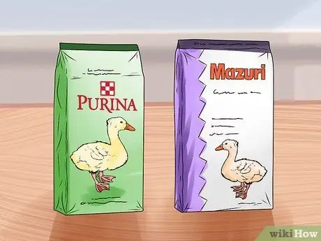 Уход за домашней уткой Шаг 1