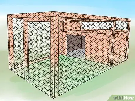 Уход за домашней уткой Шаг 10