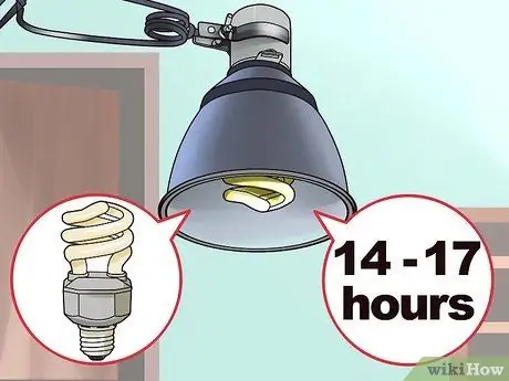 Уход за уткой Шаг 13