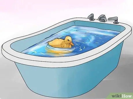 Уход за уткой Шаг 16