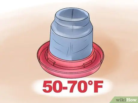 Уход за домашней уткой Шаг 7