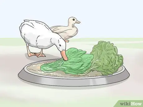 Raise Call Ducks Шаг 12