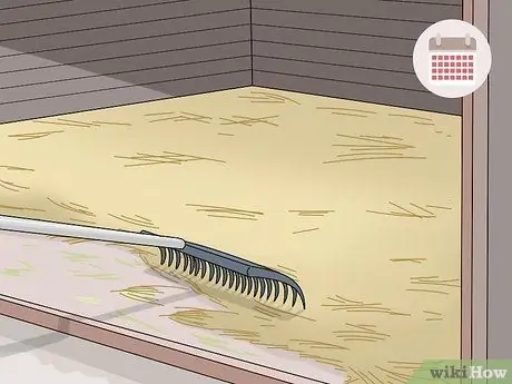 Raise Call Ducks Шаг 13