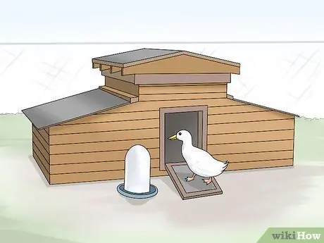 Поднять Call Ducks Шаг 6