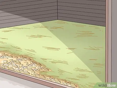 Поднять Call Ducks Шаг 9