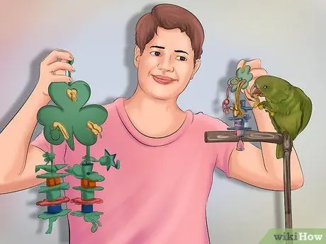 Позаботьтесь о попугае-квакере Шаг 10