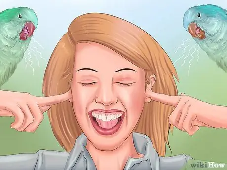 Позаботьтесь о попугае-квакере Шаг 12