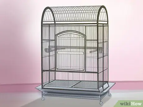 Позаботьтесь о попугае-квакере Шаг 5