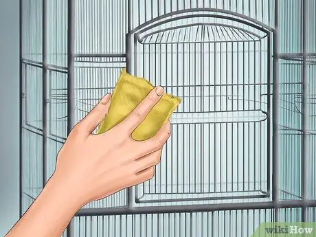 Позаботьтесь о попугае-квакере Шаг 7