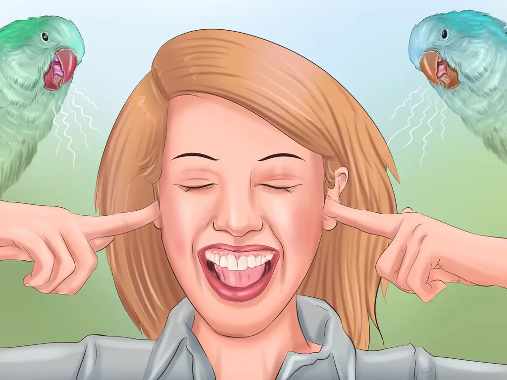 Как позаботиться о попугае-квакере: 12 шагов (с иллюстрациями)