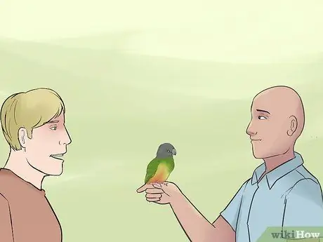 Уход за сенегальским попугаем Шаг 12