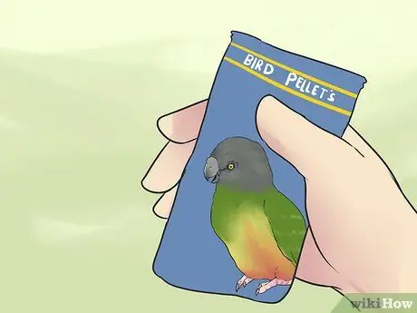 Уход за сенегальским попугаем Шаг 6