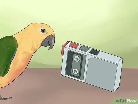 Научите собаку говорить, шаг 10