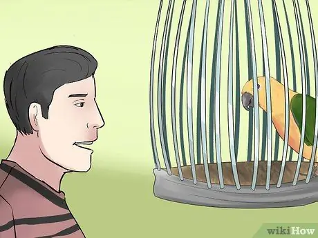 Научите собаку говорить, шаг 11